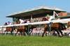 Racing grandstand