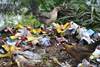 Roadside dump site