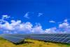 solar panels for web