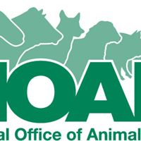NOAH-Logo