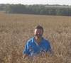 Andrew Davies in a crop of oilseed rape this harvest