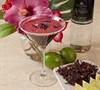 Cantina Laredo- Hibiscus margartita