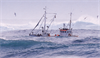 Bild J havenhed 2