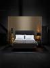 The new DUX 101 by therapeutic beds company, DUXIANA