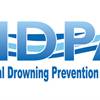 logo NDPA screen 2