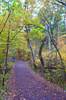 Jacobsburg Environmental Education Center - 