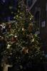 St James s Christmas Tree 2010