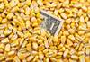 puffed corn prices