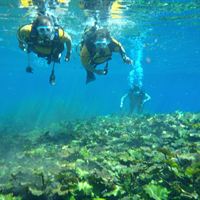 Scientology Volunteer Ministers learned to dive in rivers and at sea under extreme conditions.