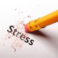 stressdagen