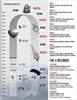 Projektbeskrivning Red Bull Stratos