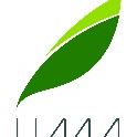 LIMA Restaurant & Lounge 