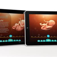 Bild Hello Baby 1