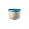Fishbowl  Blue Surf