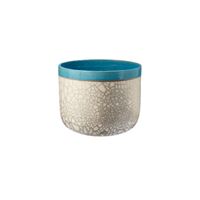 Fishbowl  Blue Surf
