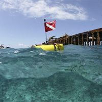 3300/3 Triton Submarine 