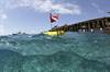 3300/3 Triton Submarine 
