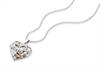 Best-selling Fairy Locket