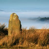 Mitchell's Fold by Danny Beath