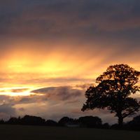 Combining at sunset by Sue Llewellyn