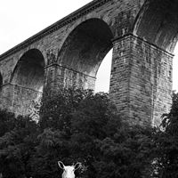Chirk Viaduct by Claire Robertson-Bennett