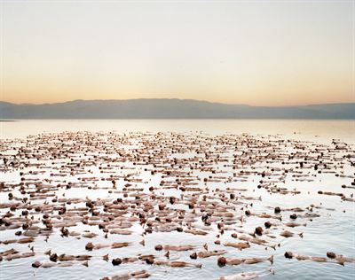Kunst fra Det Døde Hav. Copyright Spencer Tunick