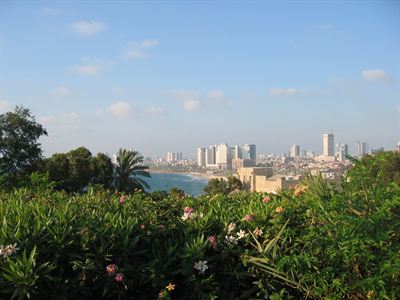 Jaffa