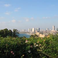 Jaffa
