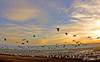 Cranes at Hula Valley. Credit Thomas Krumenacker  