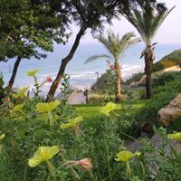 Park in Netanya