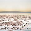 Dead Sea, Credit Spencer Tunick