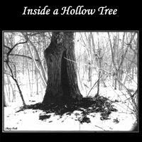 Inside a Hollow Tree