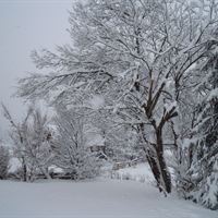 Seefeld
