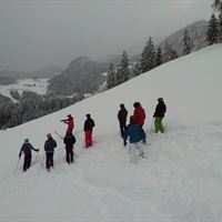 Alpbach Valley