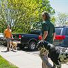 Passing a Seeing Eye dog