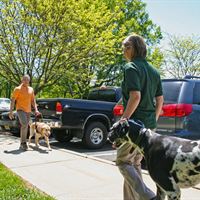 Passing a Seeing Eye dog