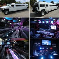 Limo2
