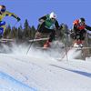 Skicross