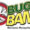 Bug Bam