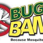 Bug Bam