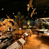Galapagos Diorama in Darwin Exhibit