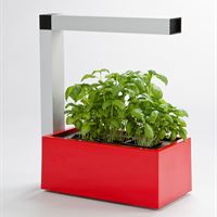 Herb:ie röd