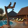 Motswari Private Camp