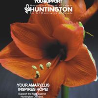 The Huntington Society of Canada’s Amaryllis Campaign