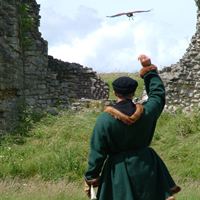 Medieval falconry at Rievaulx Abbey