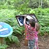 Harry the Hover puzzle trail at Hoveton Hall Gardens