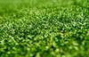 Artificial Grass Turf Installation industry