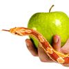 The Business of Sin
