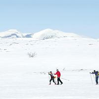 Längdåkning Funäsfjällen