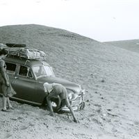 Sahara 1951